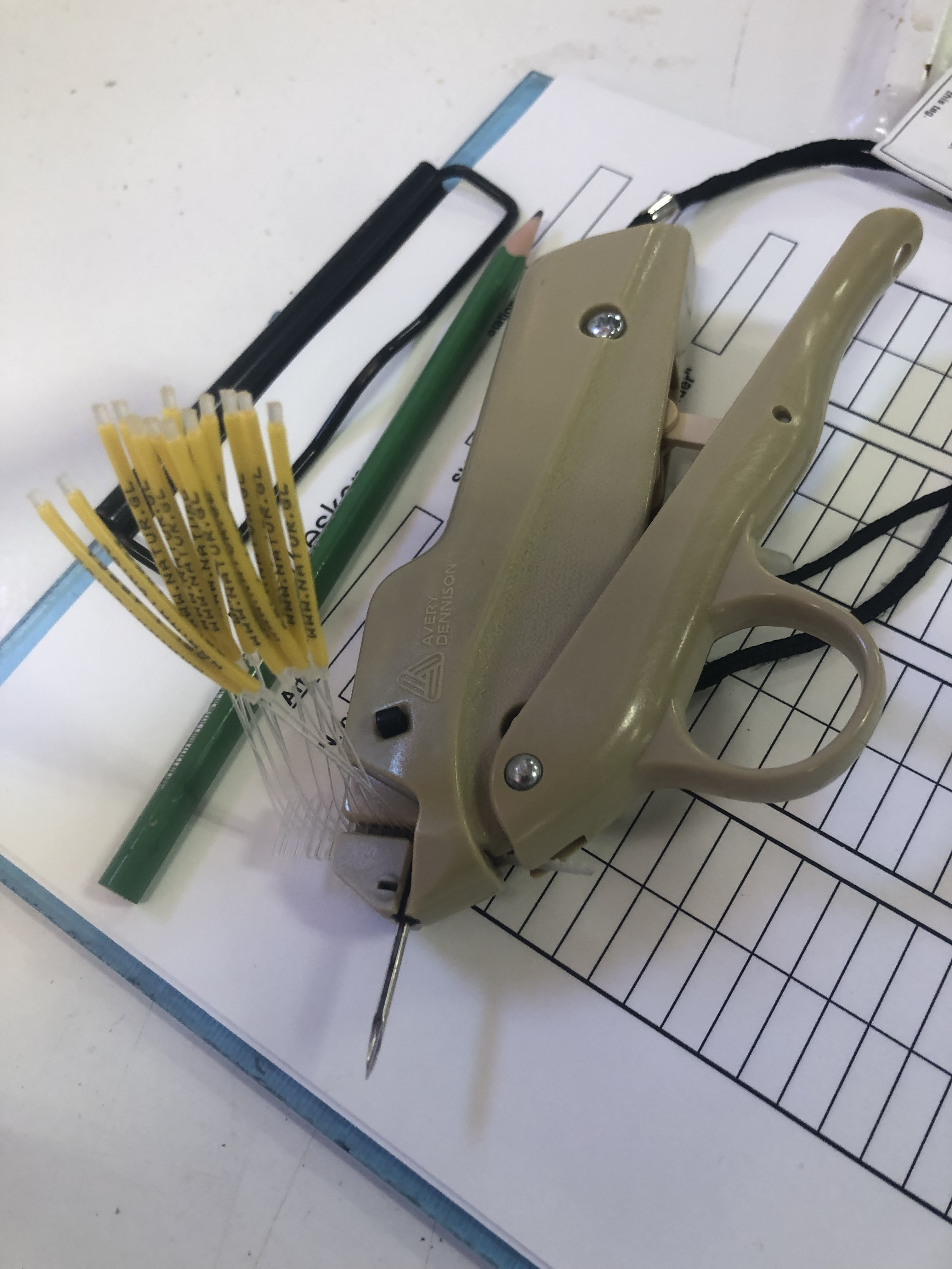 The Cod Tagger with Tags