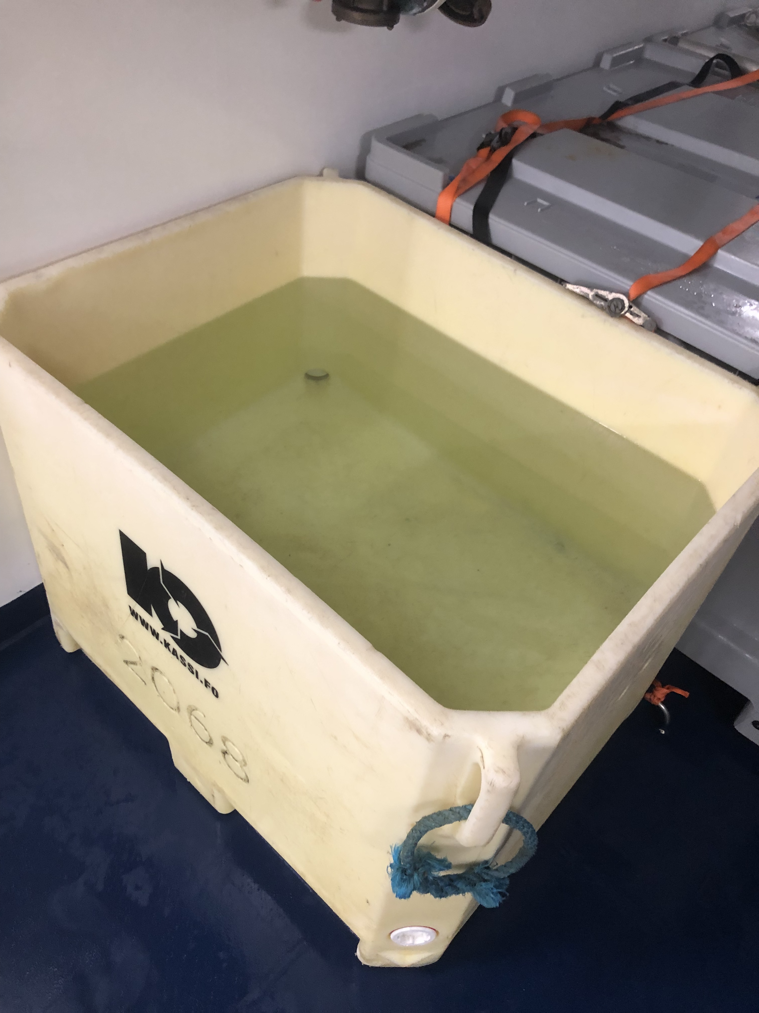 My “Swimming Pool”