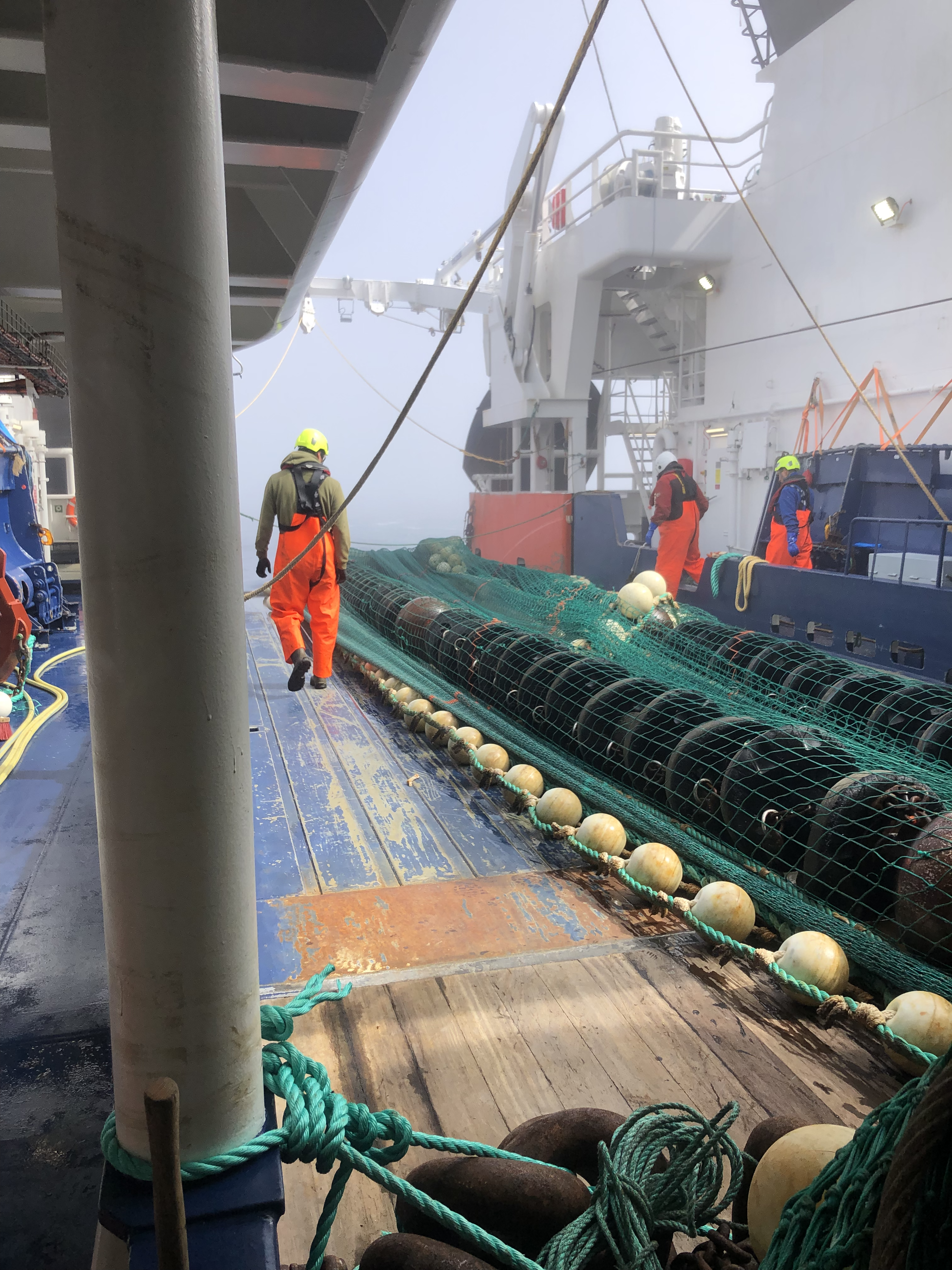 The Last Trawl Coming onto Deck.
